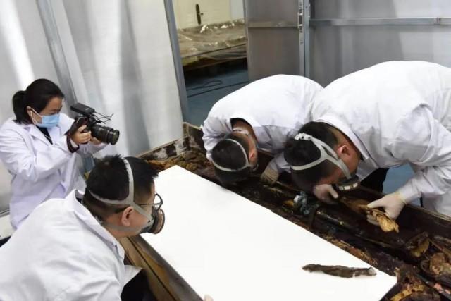 甘肃文物事业高质量发展迈出坚实步伐《四》(图2) 2.jpeg