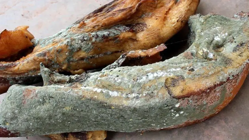 发霉生虫肉制品 发霉生虫肉制品